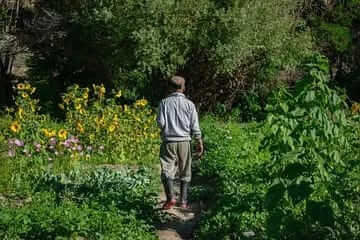 Anand Dhawaj Negi plants trees in cold deserts of Himachal Pradesh