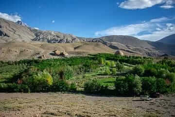 Anand Dhawaj Negi plants trees in cold deserts of Himachal Pradesh