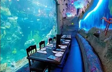 Indias first underwater restaurant Real Poseidon opens in Ahmedabad