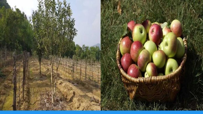 Apple Farming starts in Eastern States of India