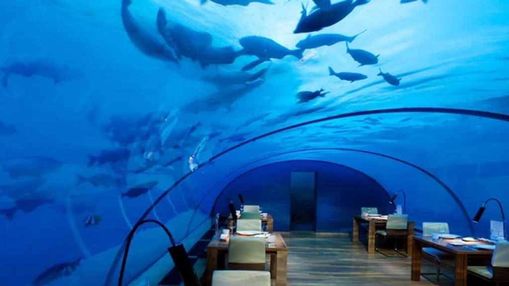 Indias first underwater restaurant Real Poseidon opens in Ahmedabad