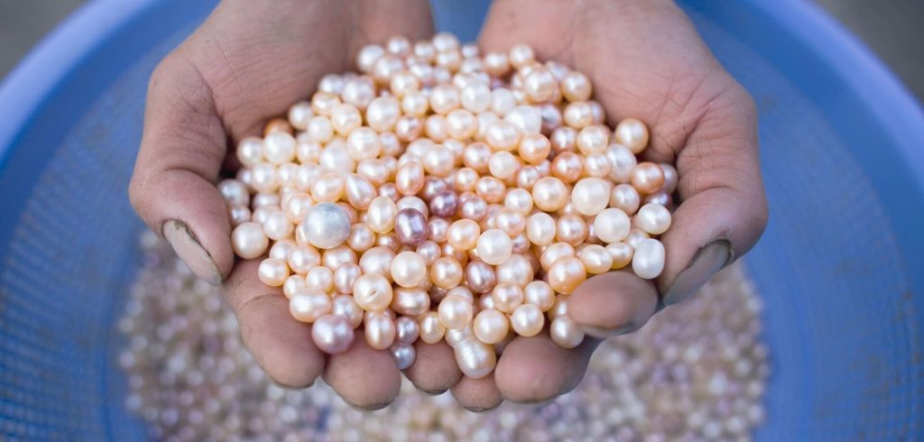 Sanjay Gandate from Maharashtra is doing Pearl Farming