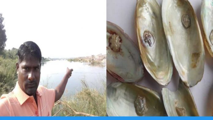 Sanjay Gandate from Maharashtra is doing Pearl Farming