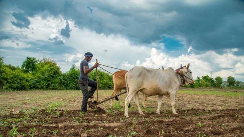 Maharashtra farmer Tukaram is earning 35 lakhs per year from Organic Farming
