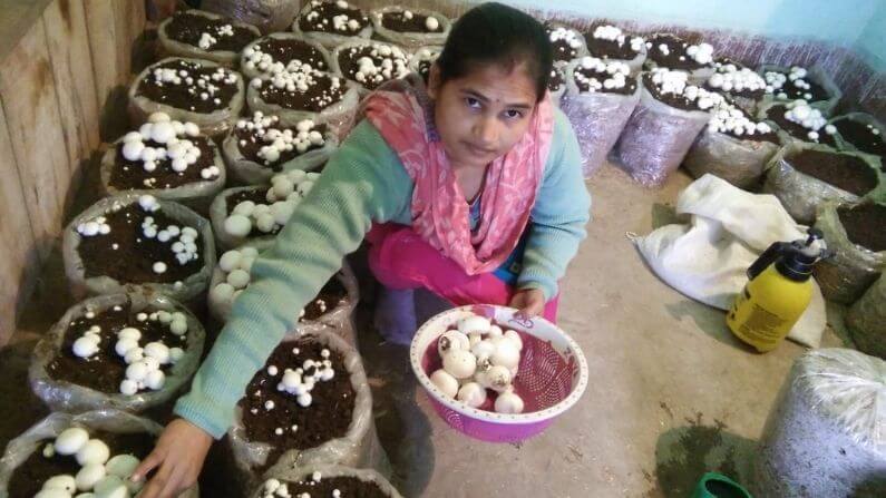 Through Mushroom Farming Vinita is earning 50 thousand per month and also giving training to others