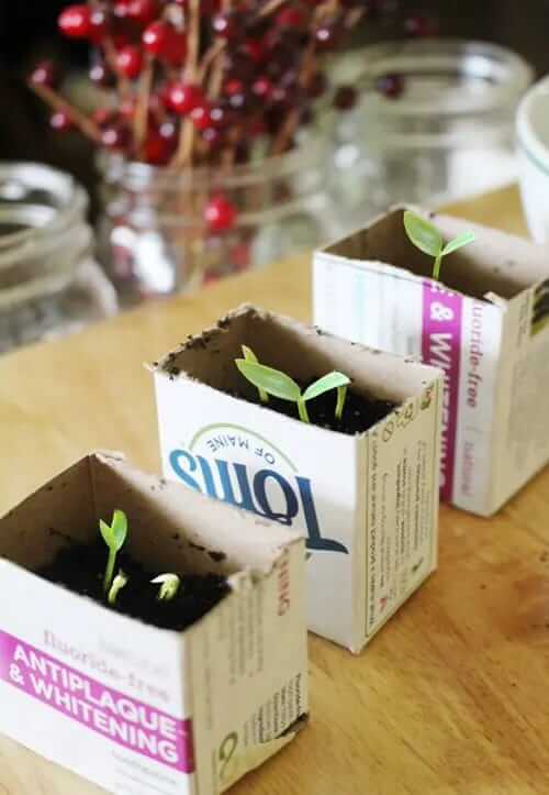 Know about some DIY seed hacks