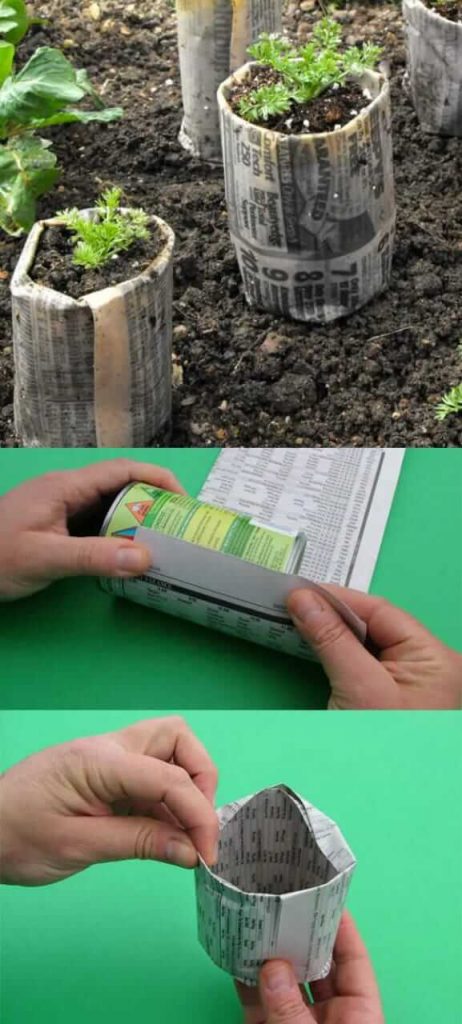 Know about some DIY seed hacks