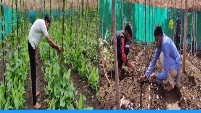 Use Organic farming new method to earn 4 lakh profit and making land fertile