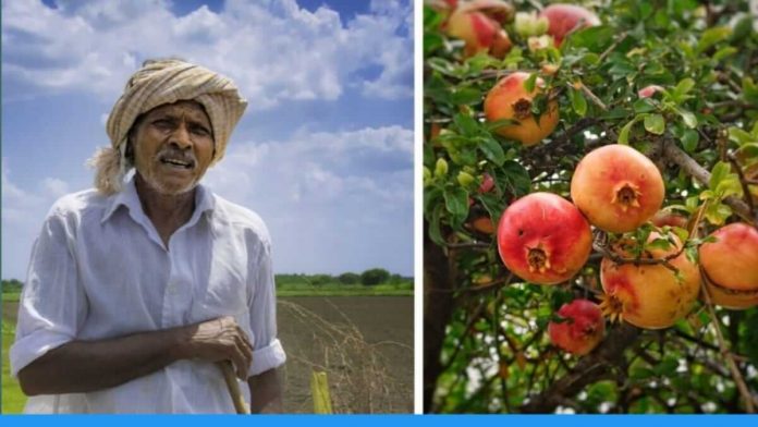 Under government plan for farming three centres of excellence inaugurates in Karnataka under Indo-Israel agricultural project