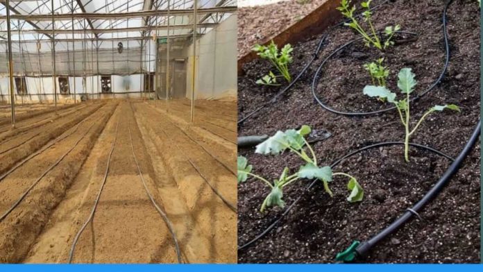 Benefits of micro irrigation system