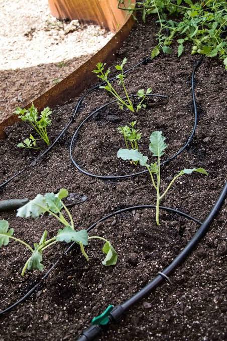 Benefits of micro irrigation system