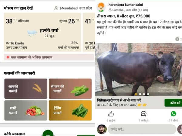 Rajesh Ranjan makes krishify app for connecting farmers