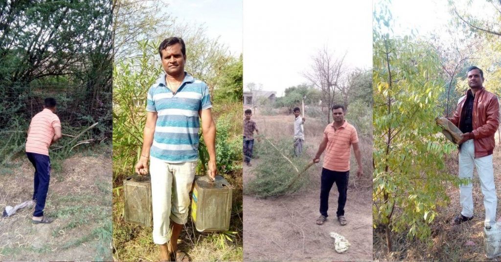 Mahavir Prasad Panchal is planting trees in Hanuman Vatika