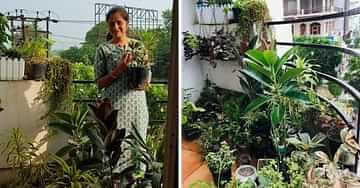 Sumita Singh from Meerut is planting more than 300 trees in her 8 feet balcony