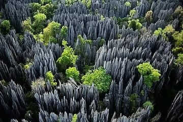 Know about these ten horrible forests