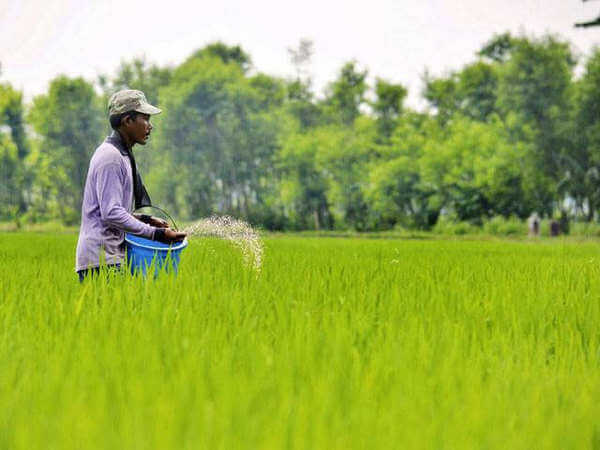 agriculture tips for farmers by Safex