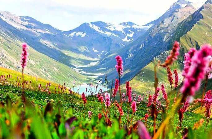 Valley of flowers is beautiful destination in chamoli