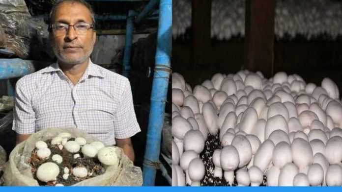 Manoj Kumar from Nawada Bihar is earning 25 lakhs per year through Mushroom Farming