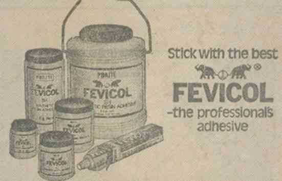 know the history behind the establishment of fevicol company