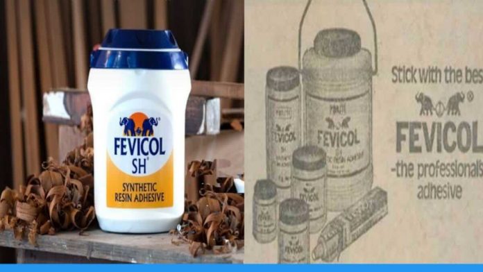 know the history behind the establishment of fevicol company