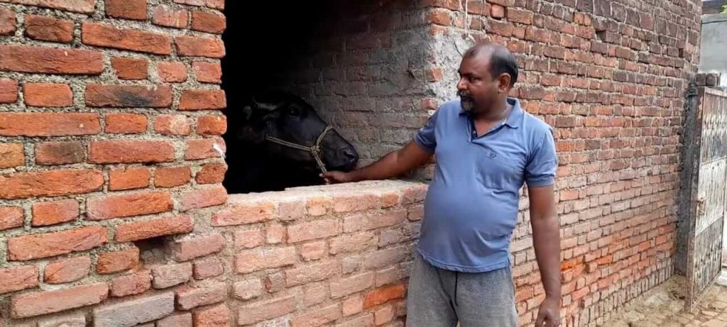 khushihal kushwaha from Madhya Pradesh is earning through dairy farming