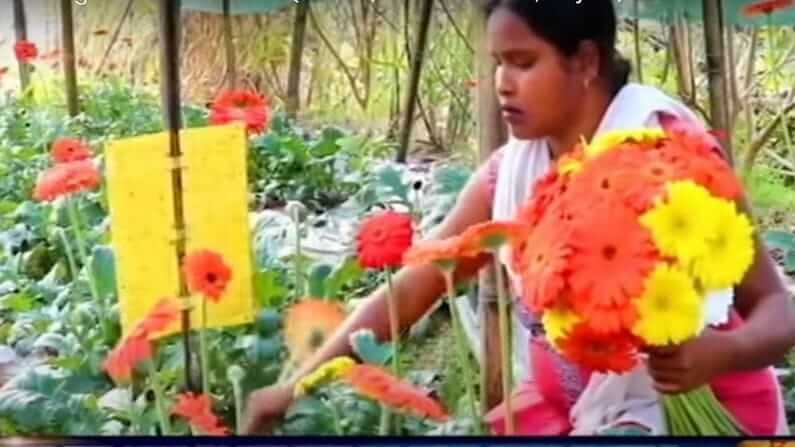 after leaving nursing job Nabnita Das from Assam Jorhat district is doing farming