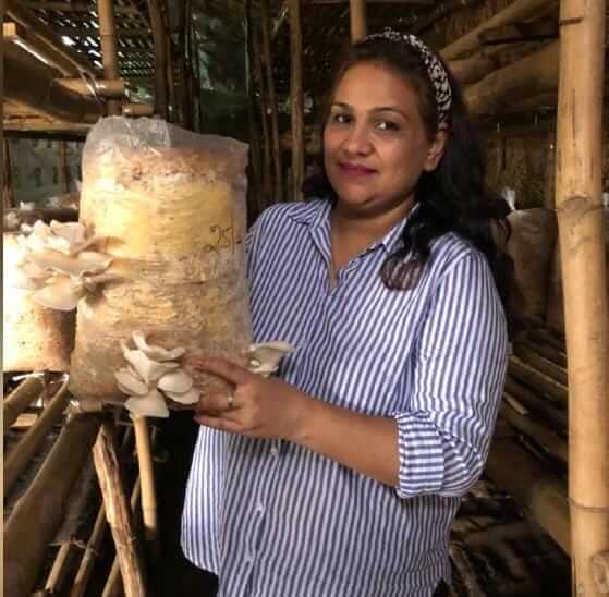 after leaving job due to Covid this couple visits india and starts doing Mushroom Farming