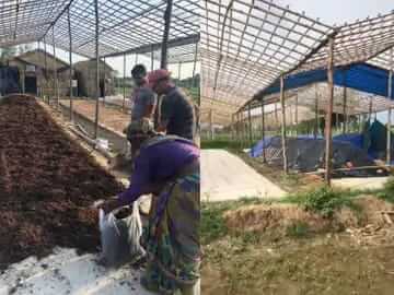 after leaving job due to Covid this couple visits india and starts doing Mushroom Farming