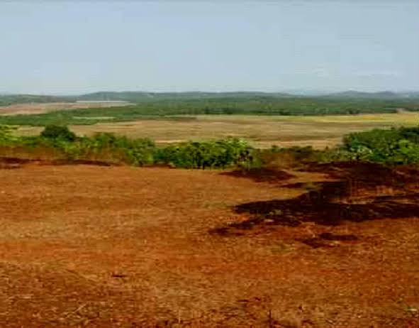 know about the difference between bigha hectare and acre used in land