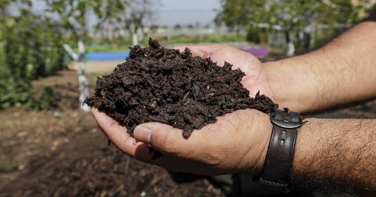 easily make compost from kitchen waste