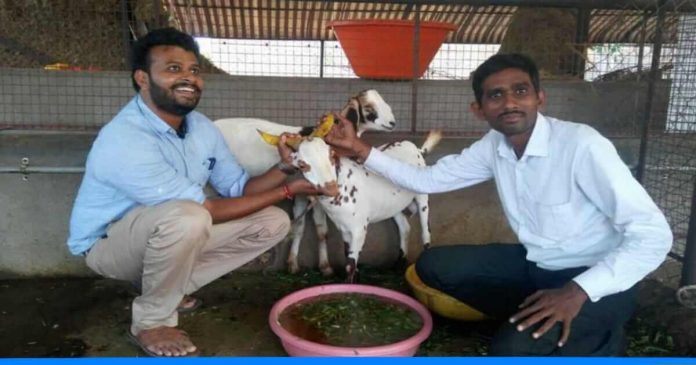 goat farming Doctor Abhishek Bharad