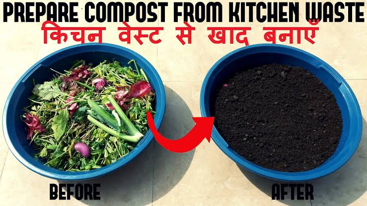 Prepare compost from kitchen waste