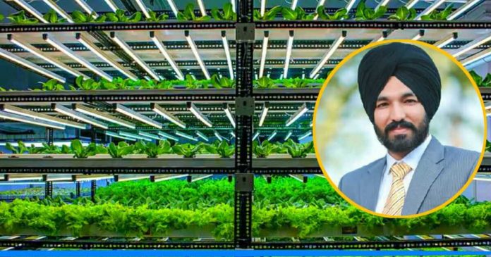 hydroponic farming by Gurukirpal singh