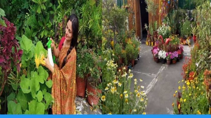 Rashmi shukla from delhi is doing gardening on her terrace