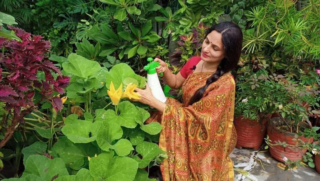 Rashmi shukla from delhi is doing gardening on her terrace