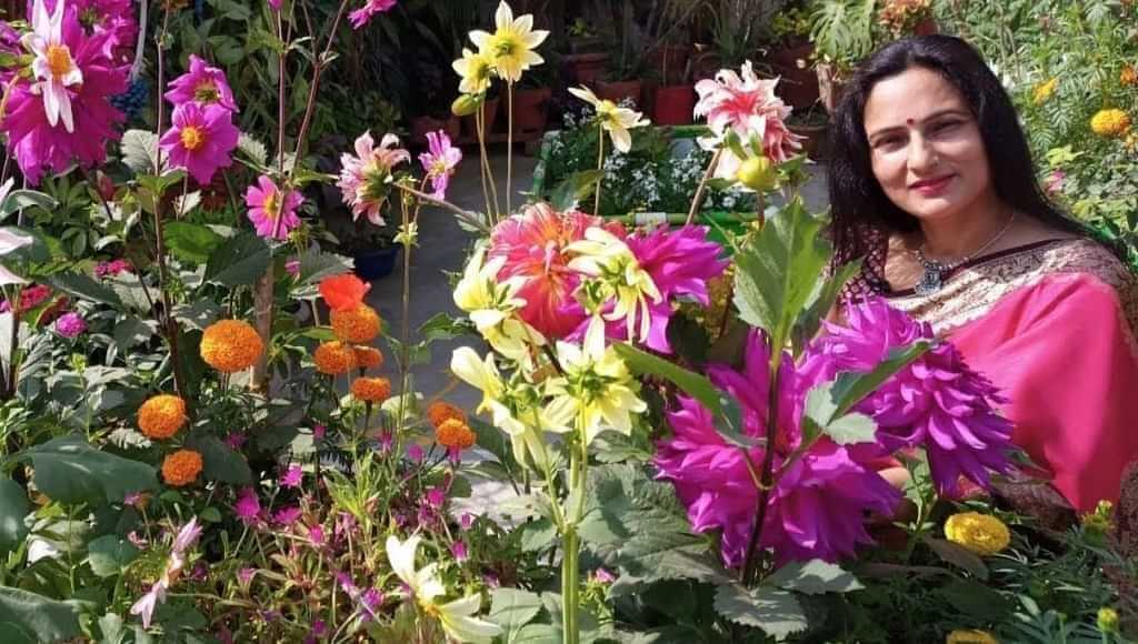 Rashmi shukla from delhi is doing gardening on her terrace