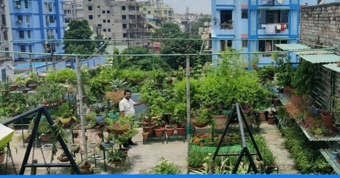 Terrace Gardenig, vegetables farming by Manoranjan Sahay, Patna, Bihar