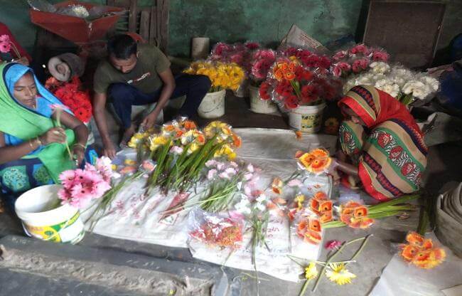 After leaving 80 lakh pakage from Britain this boy is doing gerbera flower farming