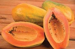 Grow papaya with these easy steps at home