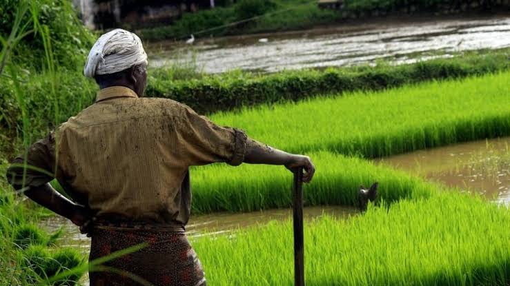 Software engineer Rakesh Kumar Mahanti left the job of TCS to do farming