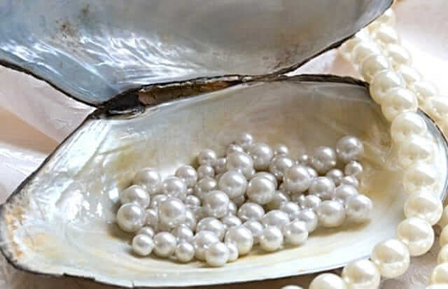 Nirav earning lakhs through Pearl cultivation
