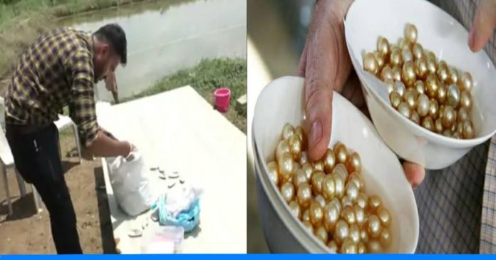 Nirav earning lakhs through Pearl cultivation
