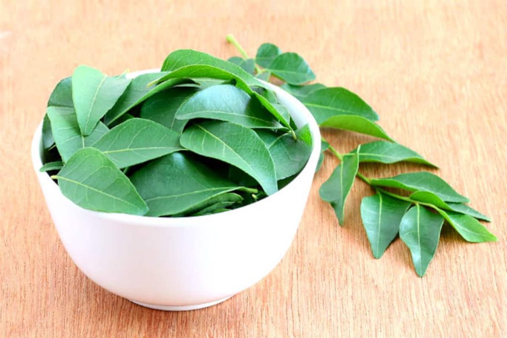 Curry leaves remove these five body problems