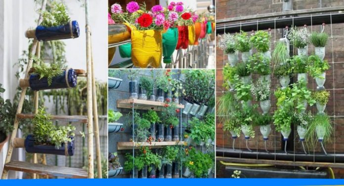 Chaudhary ram Karan made vertical garden and grow vegetables
