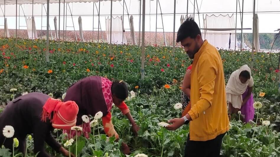 Two engineer brothers left their job and started Jharbera Farming