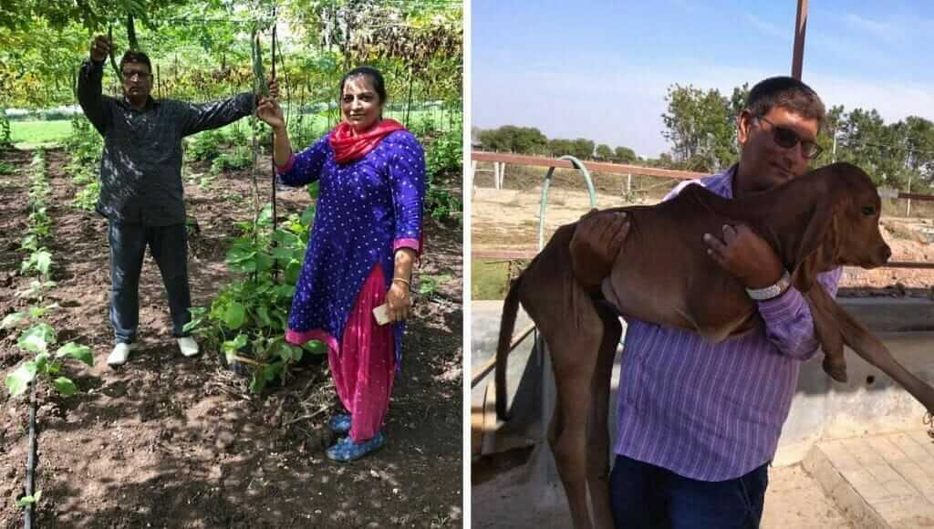 Surat farmer farming through vedic method
