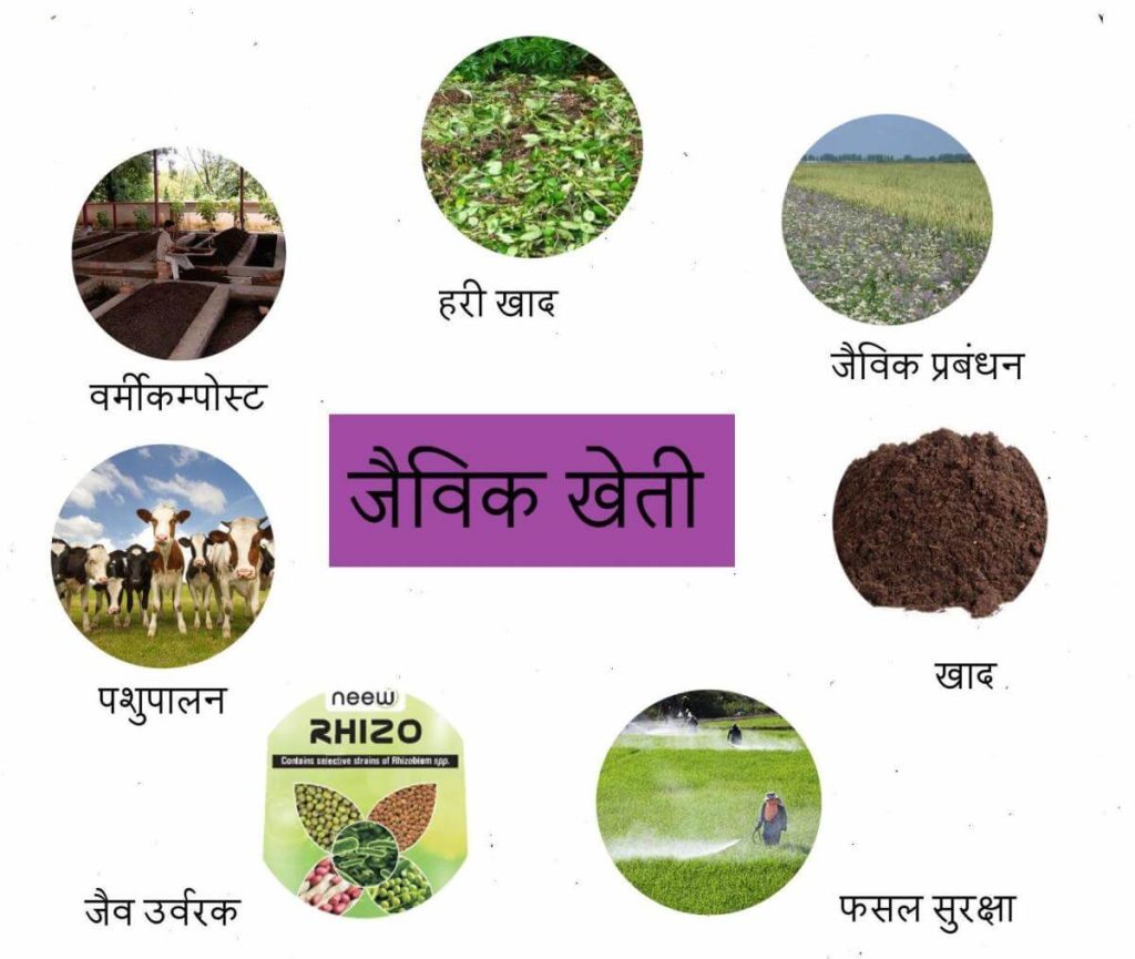 Know about Organic Farming and it's all aspects
