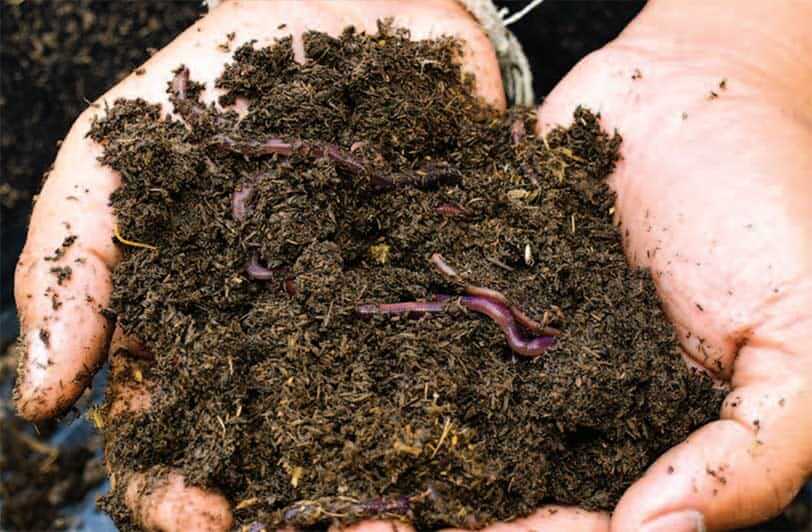 How to prepare soil for Gardening