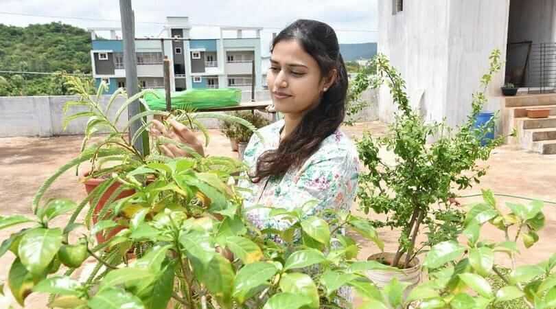 Rachna started terrace gardening and growing vegetables in flowerpot