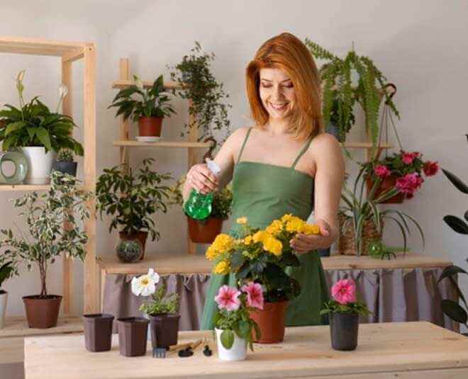 Tips To Keep Flowers Healthy